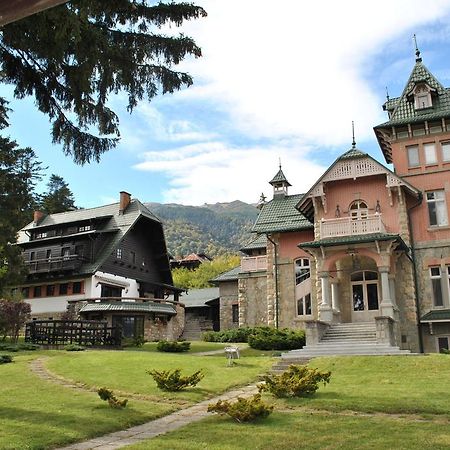 Vilele Lucia Luxury Mens Sana Sinaia Extérieur photo